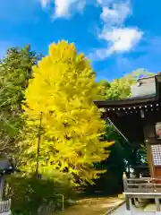 女化神社の自然