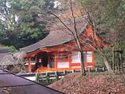 出雲大神宮の本殿・本堂