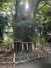 大國魂神社(東京都)