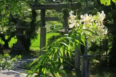 鹿島大神宮の鳥居