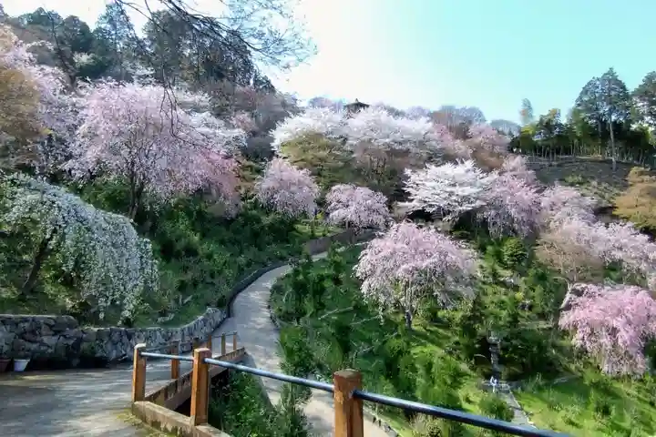 善峯寺(京都府)
