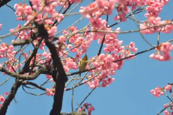 矢先稲荷神社の御朱印
