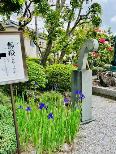光明寺(栃木県)