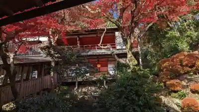 柳谷観音　楊谷寺(京都府)