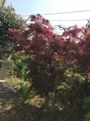 鳥出神社(三重県)