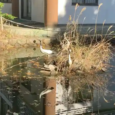 闘鶏神社(和歌山県)
