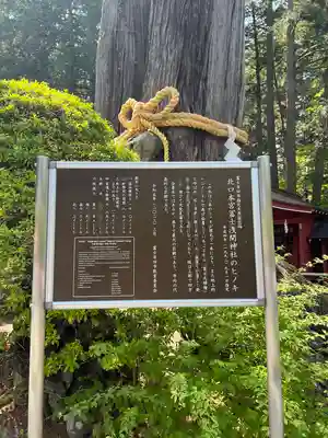 北口本宮冨士浅間神社(山梨県)