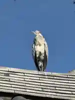 浄光明寺(神奈川県)