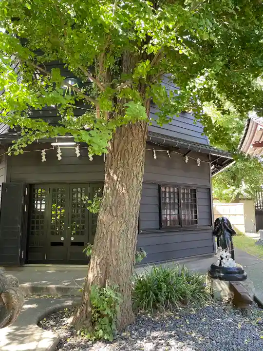 金山神社(若宮八幡宮境内社)(神奈川県)