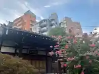 妙円寺(東京都)