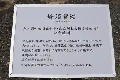 豊国神社の歴史