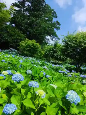 雲昌寺(秋田県)