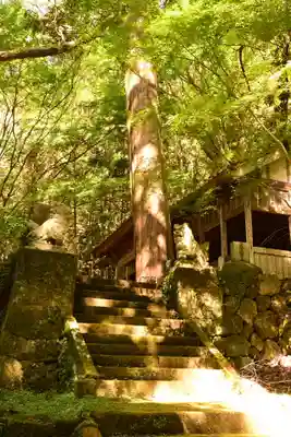 岩戸寺(大分県)