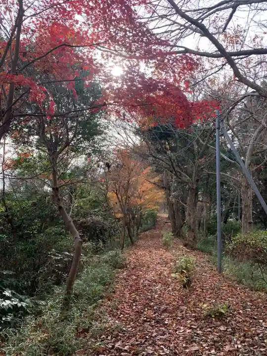 桝原稲荷神社(千葉県)