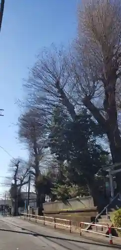 明治神社のその他建物