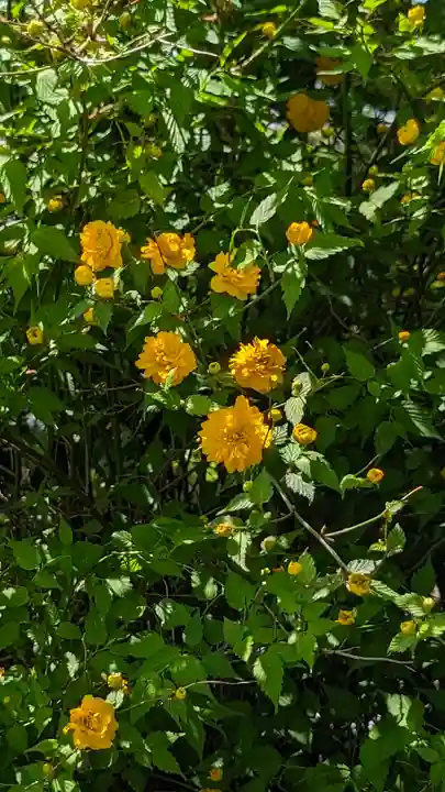 橋寺 放生院(京都府)