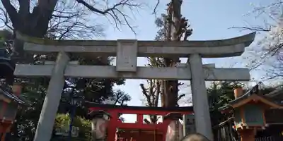 五條天神社の鳥居