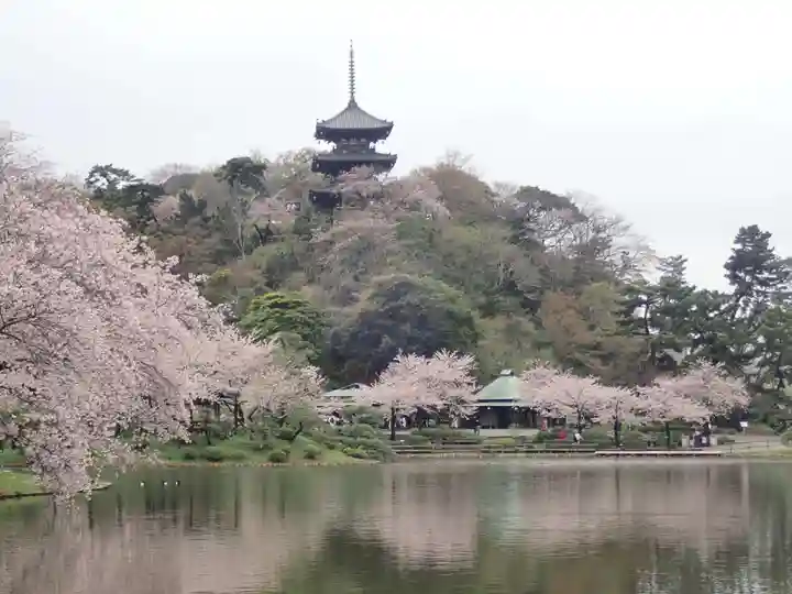 根岸八幡神社(神奈川県)
