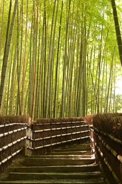 化野念仏寺(京都府)