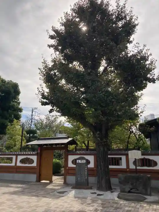 天妙国寺(東京都)