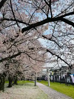 守りの神　藤基神社の鳥居