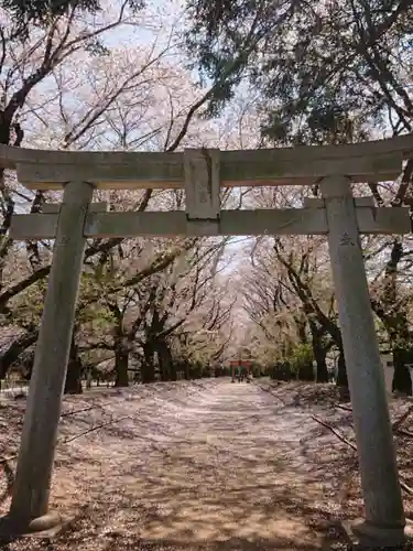 東蕗田天満社の鳥居