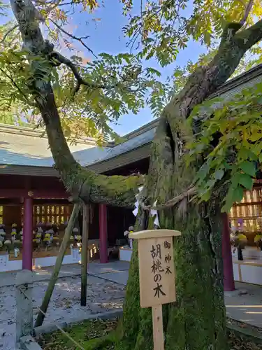 笠間稲荷神社の自然