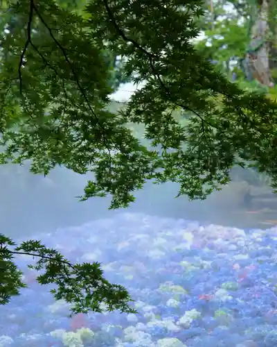 楽法寺（雨引観音）(茨城県)