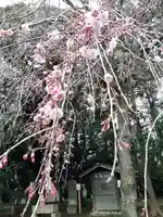 伏木香取神社の自然