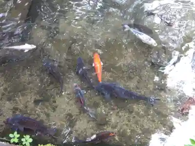 玉龍寺(岐阜県)