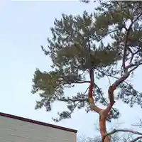 彌彦神社 (伊夜日子神社)の自然