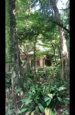 深大寺(東京都)