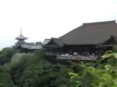 清水寺(京都府)