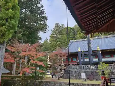 輪王寺(栃木県)