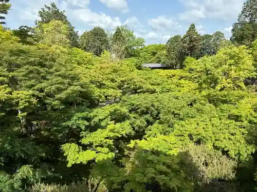 東福禅寺（東福寺）(京都府)