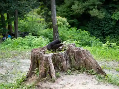 伏見稲荷大社(京都府)