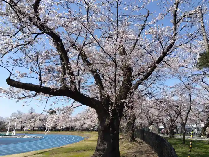 伊部波島大神(新潟県)