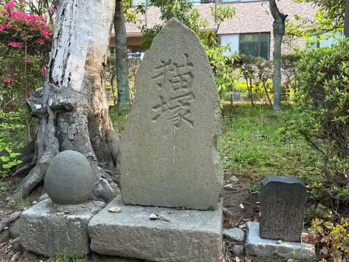 栽松院の{uncategorized: "未分類", other: "その他", undefined: "問題あり", building: "その他建物", grave: "お墓", sacred_gate: "鳥居", guardian: "狛犬", statue: "像", buddha: "仏像", history: "歴史", nature: "自然", garden: "庭園", animal: "動物", pagoda: "塔", temizu: "手水舎", mountain_gate: "山門・神門", sanctuary: "本殿・本堂", subordinate: "末社・摂社", art: "芸術", scenery: "景色", jizo: "地蔵", ema: "絵馬", goshuin: "御朱印", omikuji: "おみくじ", items: "授与品その他", amulet: "お守り", goshuincho: "御朱印帳", eats: "食事", festival: "お祭り", votive_dance: "神楽", shichigosan: "七五三参", wedding: "結婚式", experience: "体験その他", initially: "初詣", around: "周辺", anti_infection: "感染症対策"}