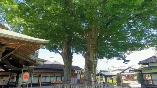 熊野宮の自然