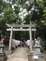 豊川閣　妙厳寺の鳥居