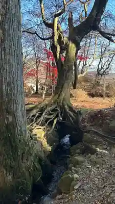 宝積山光前寺(長野県)