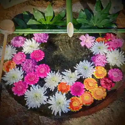 東京羽田 穴守稲荷神社の手水舎