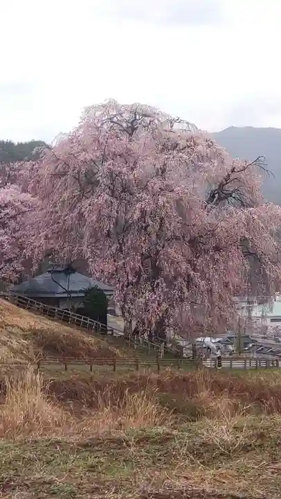 勝間薬師堂(長野県)