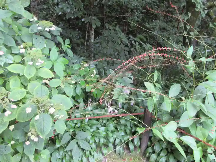 詩仙堂(丈山寺)の庭園