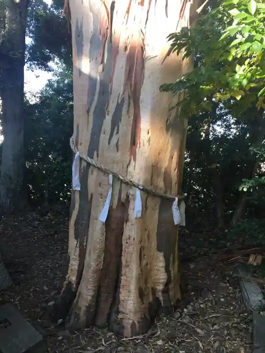 元城町東照宮の自然