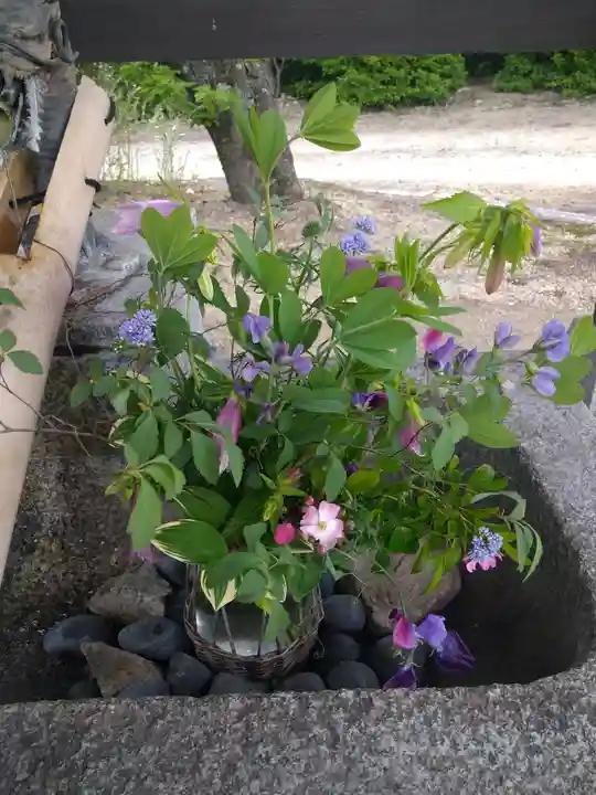 木華佐久耶比咩神社の手水舎