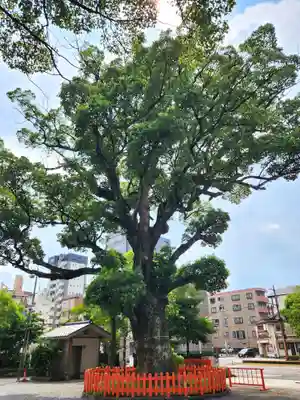 荒田八幡宮(鹿児島県)