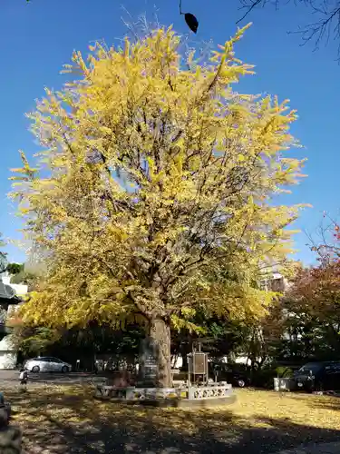 善福寺(東京都)