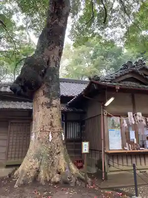 氷川女體神社のその他建物