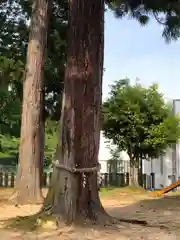 高雄神社(福井県)